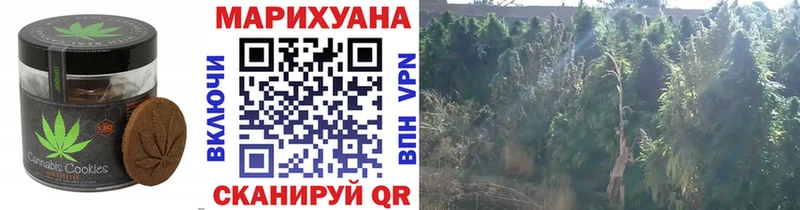 Купить  Наро-Фоминск  Печенье с ТГК конопля 