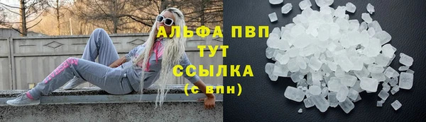 хмурый Каменка