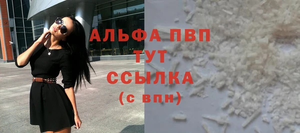 хмурый Каменка