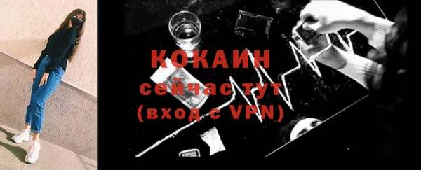 хмурый Каменка