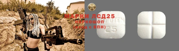 хмурый Каменка