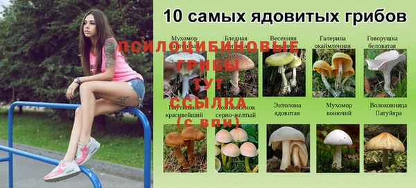 прущая мука Каменск-Шахтинский
