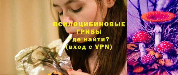 хмурый Каменка