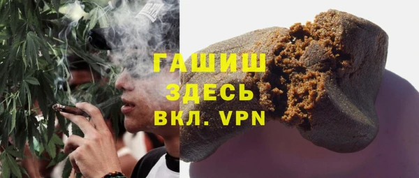 хмурый Каменка